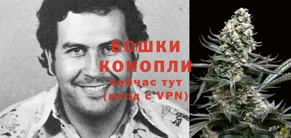 бошки Рославль