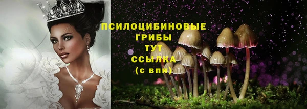 spice Ростов