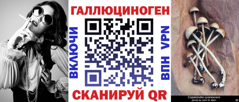 купить   Великие Луки  Галлюциногенные грибы Psilocybine cubensis 