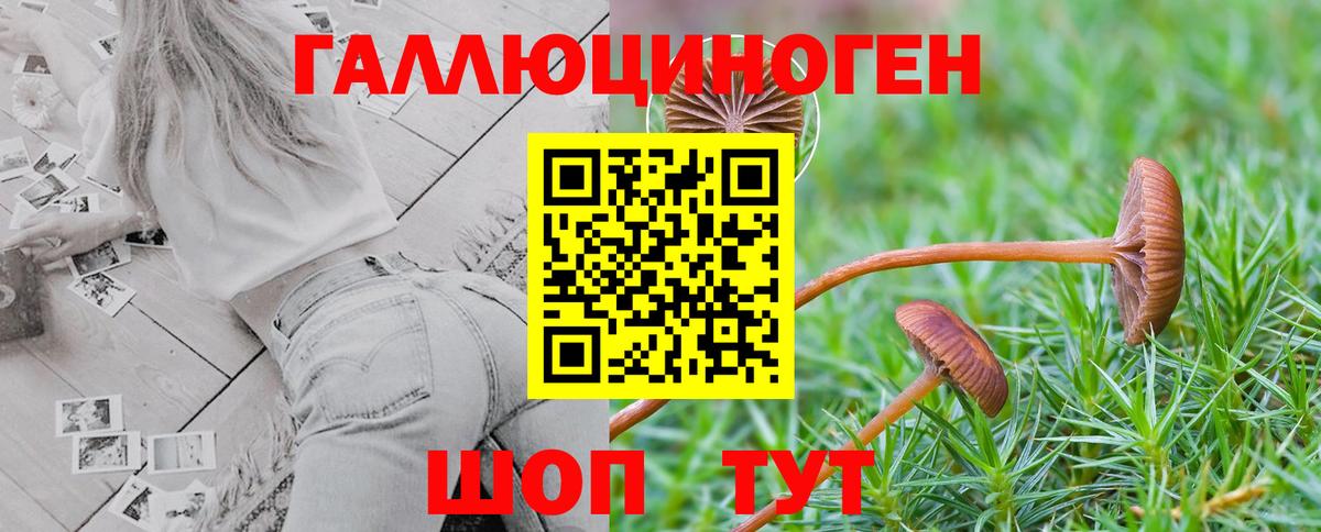 Псилоцибиновые грибы GOLDEN TEACHER Великие Луки