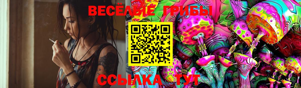 Галлюциногенные грибы мухоморы Великие Луки
